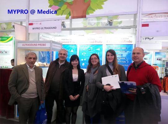 GE 12L Logiq 7 LogiqP5 LogiqS6 Vivid3 Vivid4 Vivid7 Sistema di imaging diagnostico Sonda ad ultrasuoni