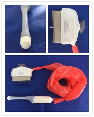 GE RIC5-9-D Voluson E6 sonda transvaginale ad ultrasuoni per diagnosi medica precisa