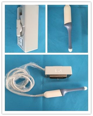 Classe II Ultrasuoni Compatibile 4D Transvaginale GE RIC5-9H