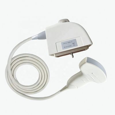 Esaminazione medica elettrica Siemens CH5-2 Ultrasuoni Trasduttore di sonda umana convessa