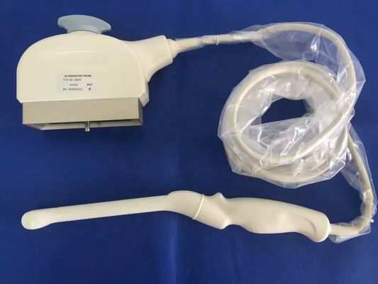 Diagnostica medica PTZ sonda transvaginale per GE Logiq P5 trasduttore umano ad ultrasuoni