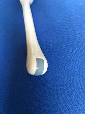 Ultrasuoni professionali PVT-661VT Trasduttore transvaginale per la diagnosi medica Xario