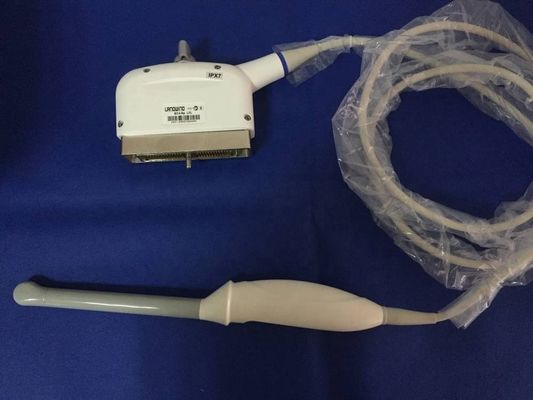 Probe compatibile con gli ultrasuoni per il sistema di imaging diagnostico LANDWIND EC4-9p LCL EX20