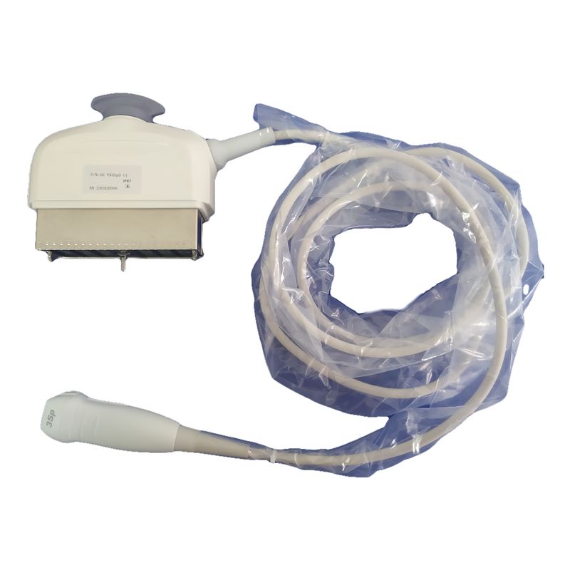 Sonda ad ultrasuoni con tecnologia di serie di fasi 3Sp GE Logiq P5/P6/P6 Pro Compatibile