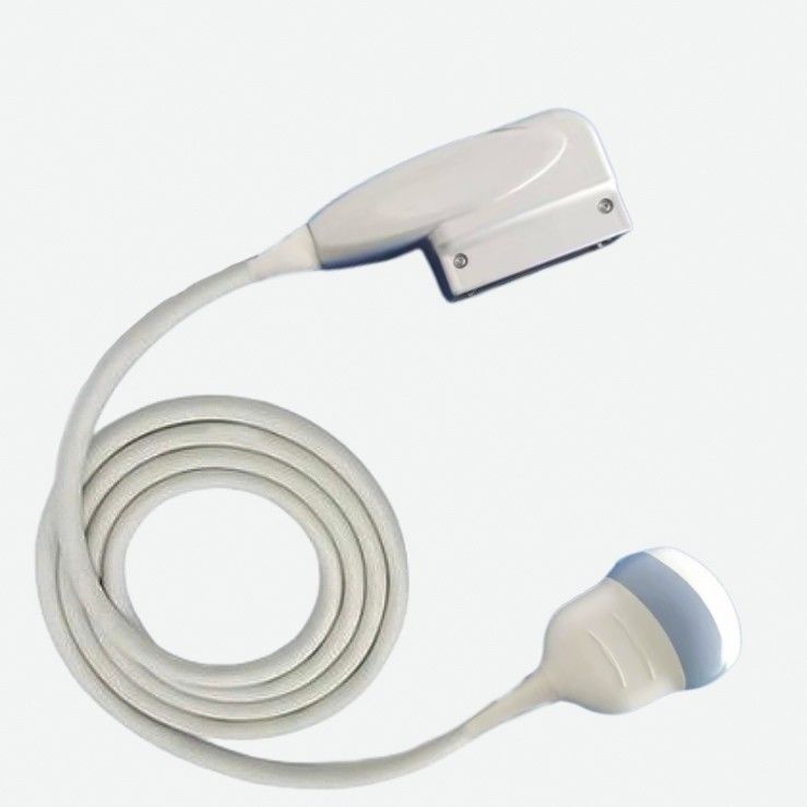 Sonde elettrica ad ultrasuoni GE RAB2-6-RS 4D Convesso per GE Voluson P8 Versana Premier